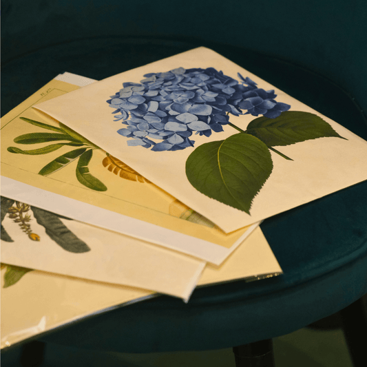 Indian Botanicals Archival Prints